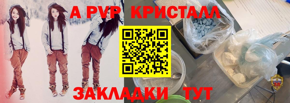 A PVP СК КРИС Киселёвск
