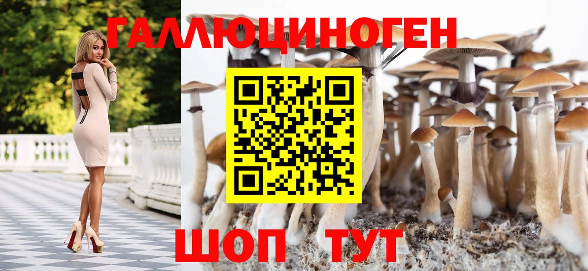 Псилоцибиновые грибы Psilocybe  Галлюциногенные грибы Cubensis  Вход с VPN  Киселёвск 